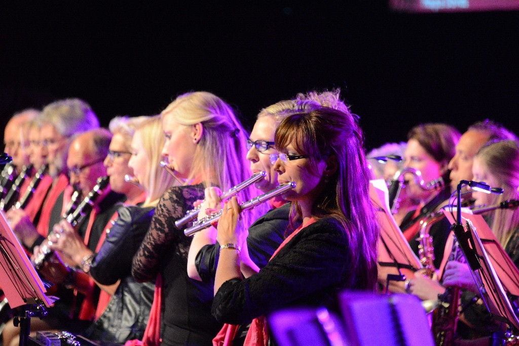 ../Images/Jubileumconcert 100 jaar Harpe Davids 245.jpg